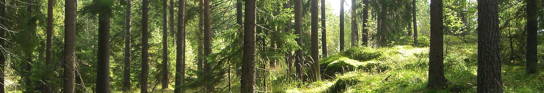 jofatekniikka