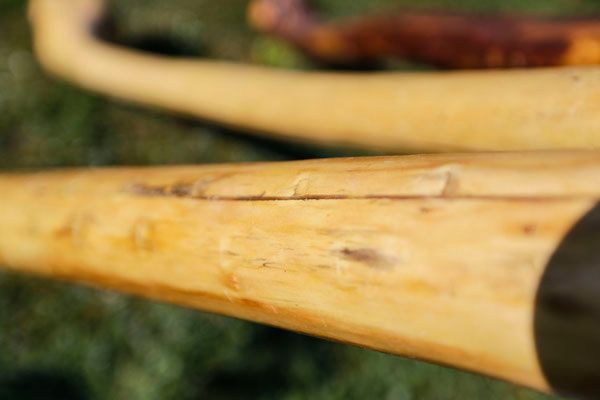 Nahaufnahme Digeridoo | Bildhauer Urs Imhof | Haus zum Steigbrunnen | Klingnau