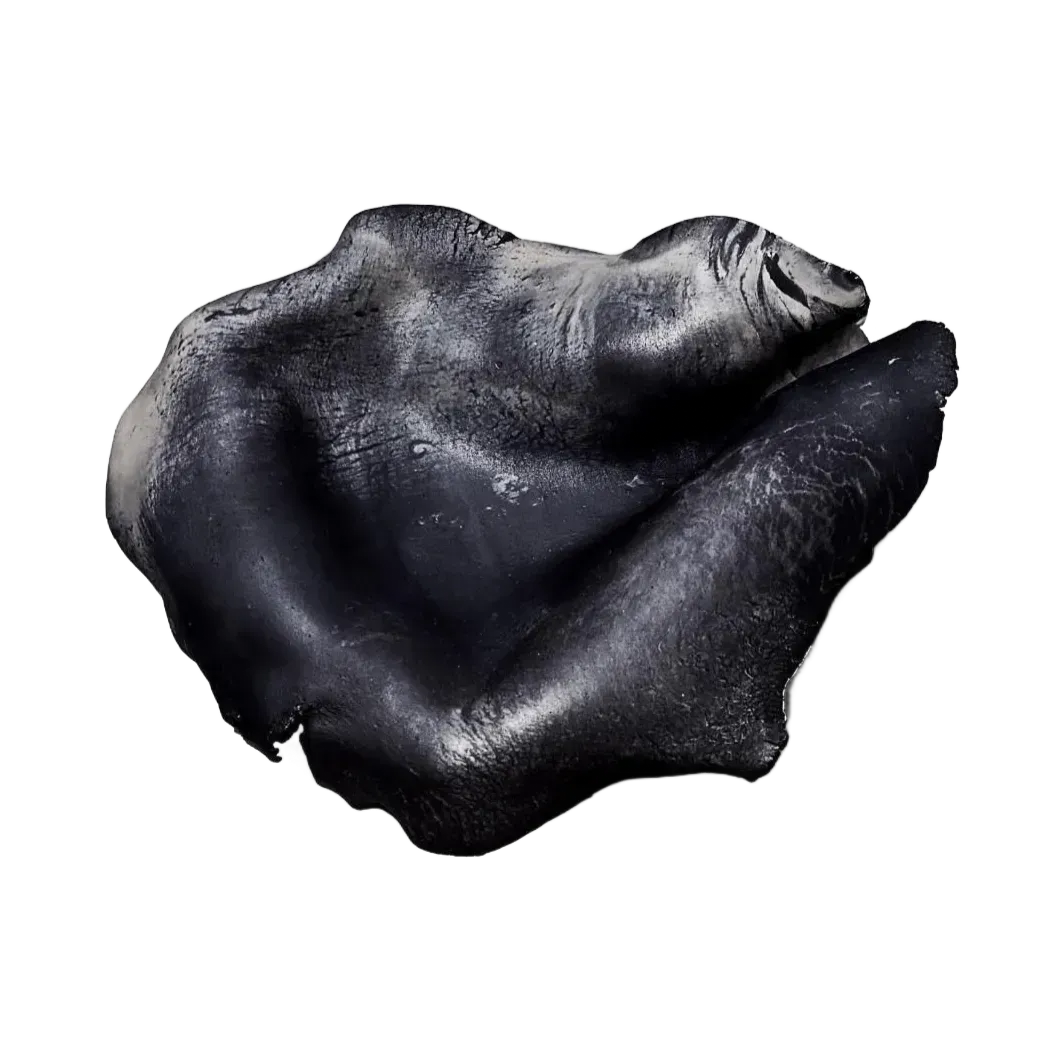 Hongo arrugado, de color gris oscuro y con forma de oreja.