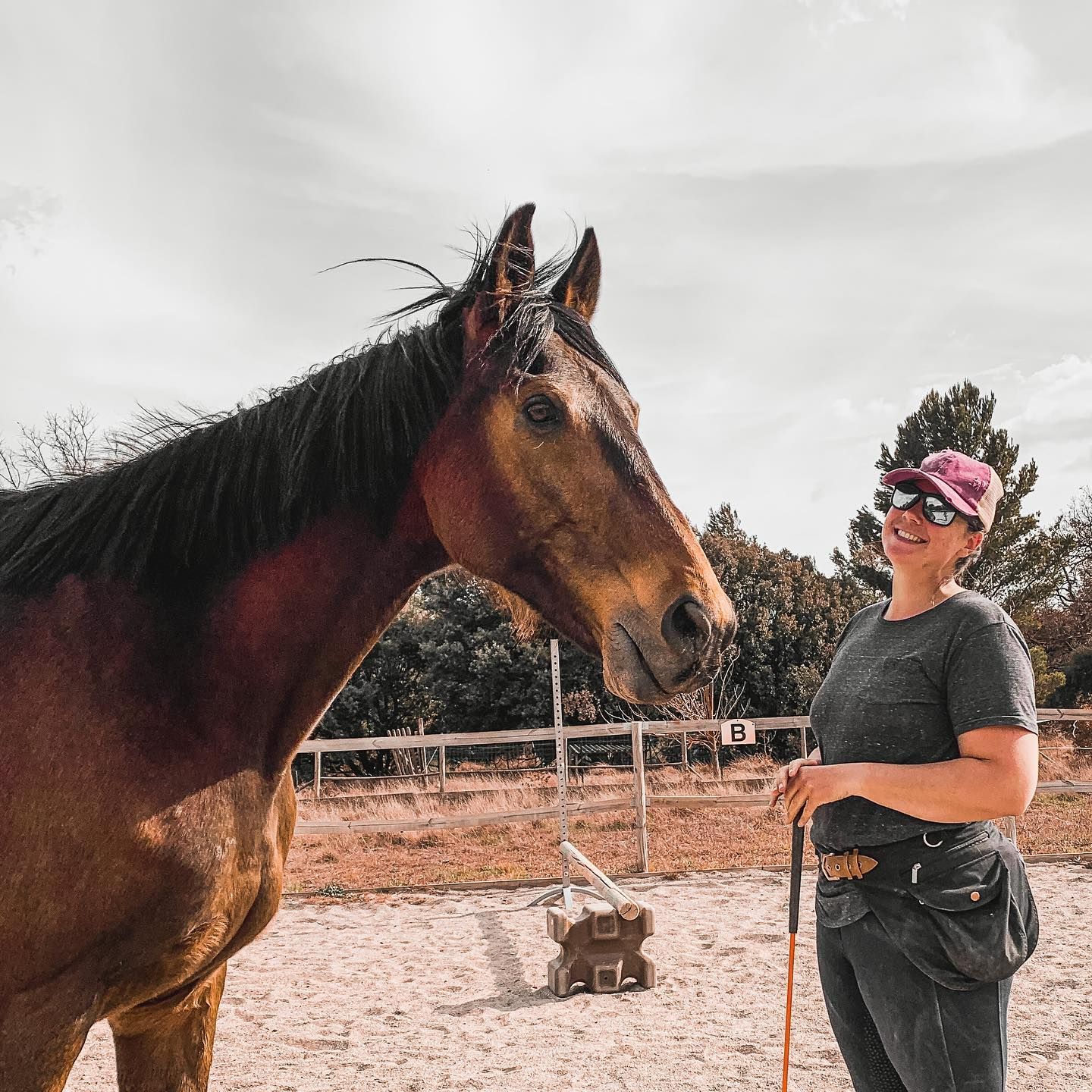 Un cheval alezan et une personne.