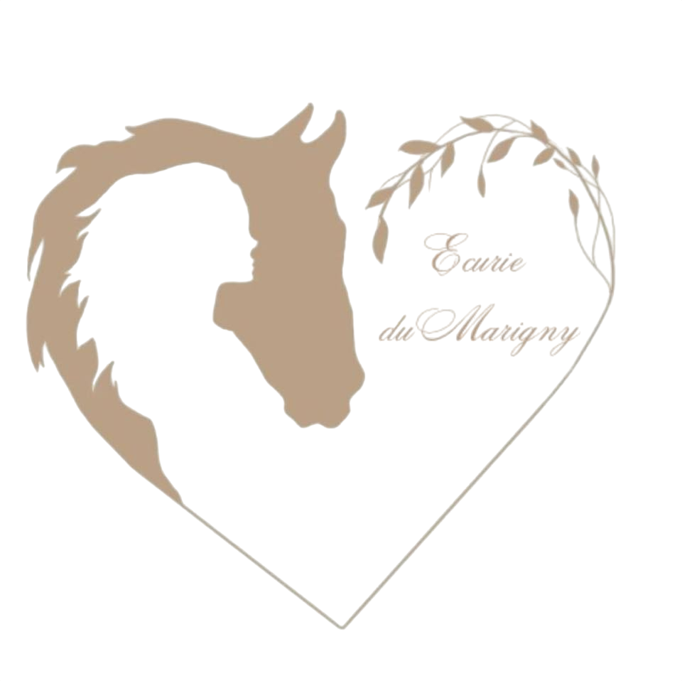 Logo de l'ÉCURIE DU MARIGNY.
