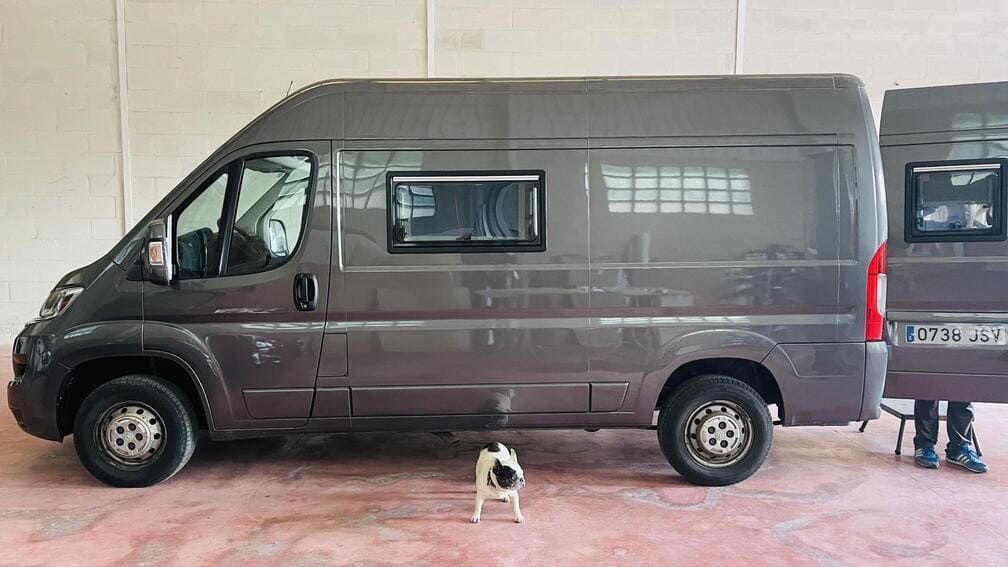 Un perro está parado junto a una camioneta en un garaje.