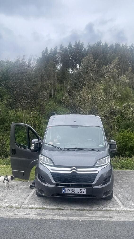 Una camioneta gris está estacionada en un estacionamiento frente a un bosque.