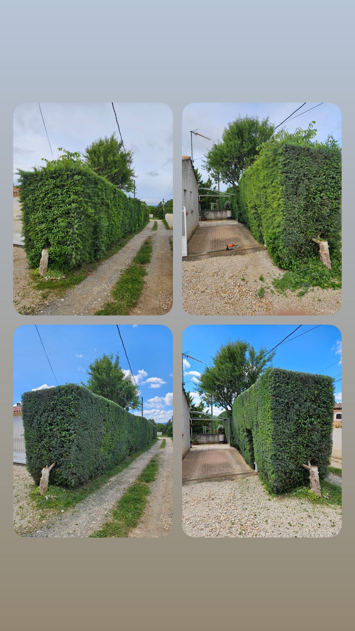 Quatre vues d'un chemin bordé de haies vertes, sous un ciel bleu, avec des arbres et des lignes électriques visibles.