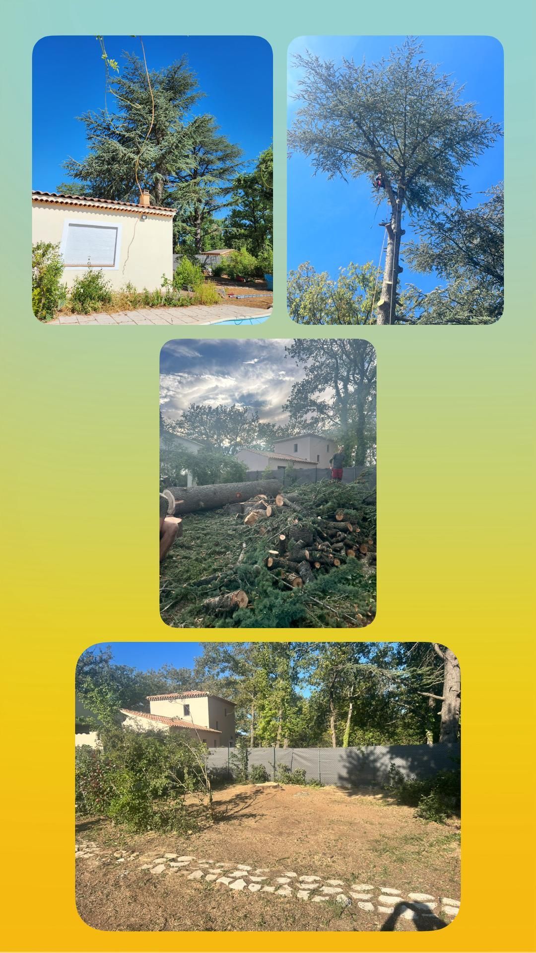 Collage de photos d'arbres : avant, pendant et après l'abattage, montrant une maison et un ciel bleu dégagé.