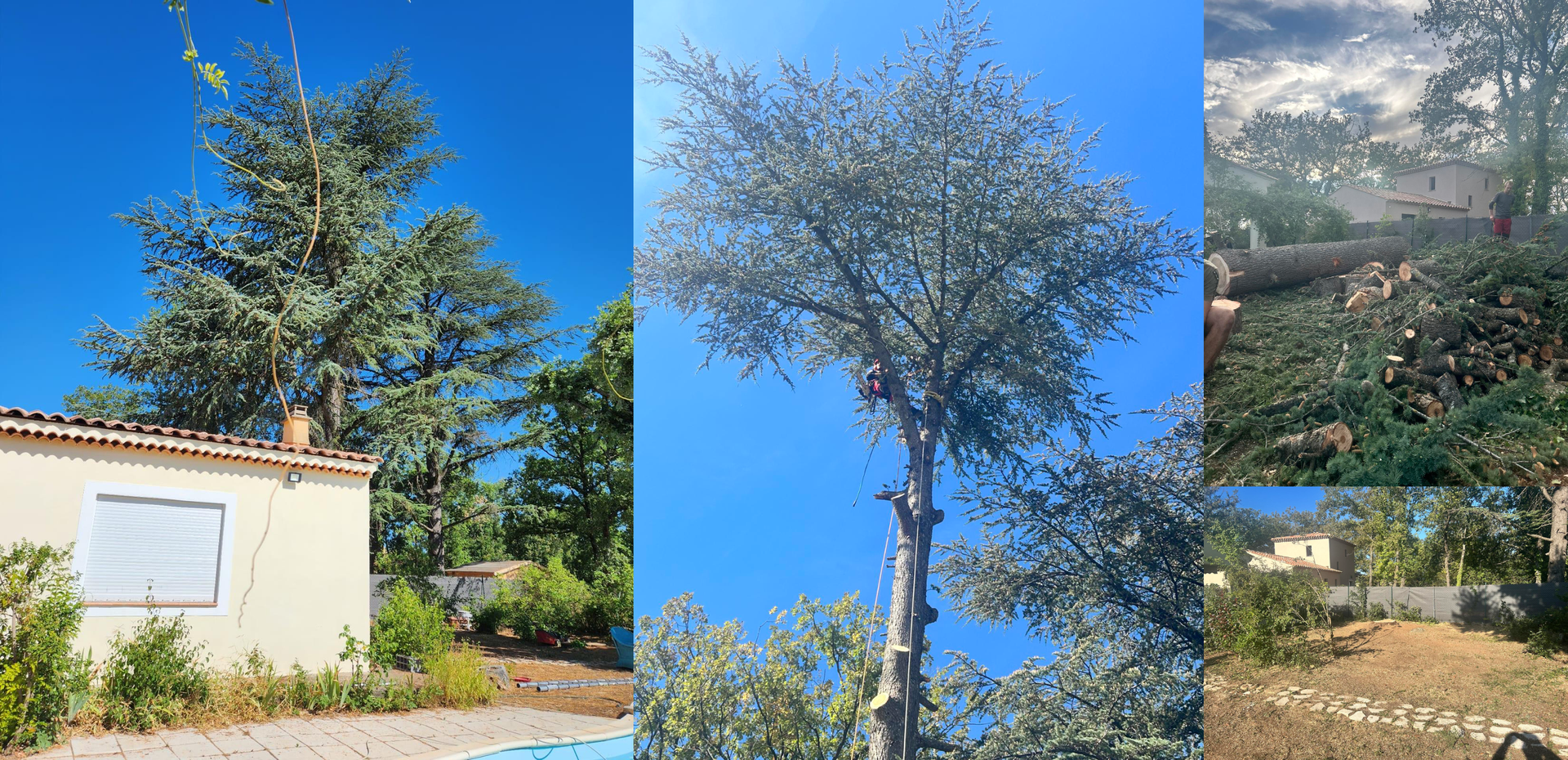 Un arbre en cours d'élagage près d'une petite maison, puis une autre image du même arbre en cours d'abattage.
