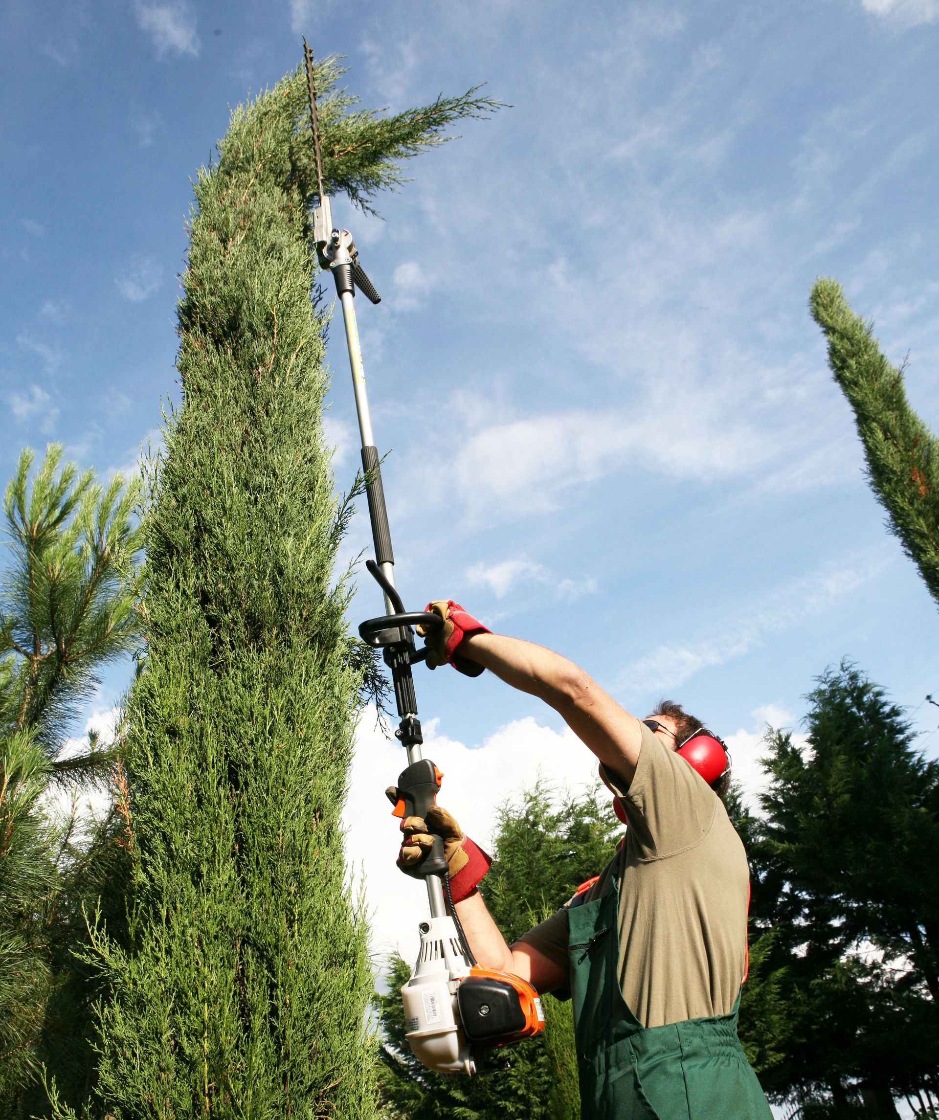 Une personne utilise un taille-haie sur perche pour tailler un grand arbre vert se détachant sur un ciel bleu.