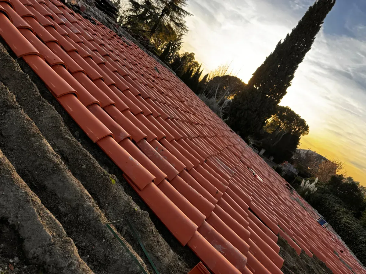 Vista oblicua de un tejado de tejas de terracota al atardecer, con un ciprés alto y delgado al fondo.