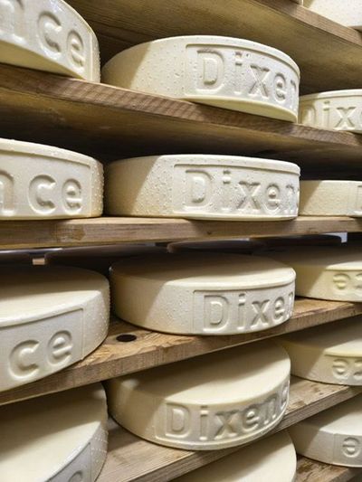 Des morceaux de parmesan sur une planche en bois, avec des étagères de meules de fromage en arrière-plan.