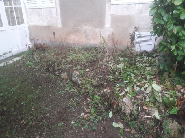 Espace vert non arrangé