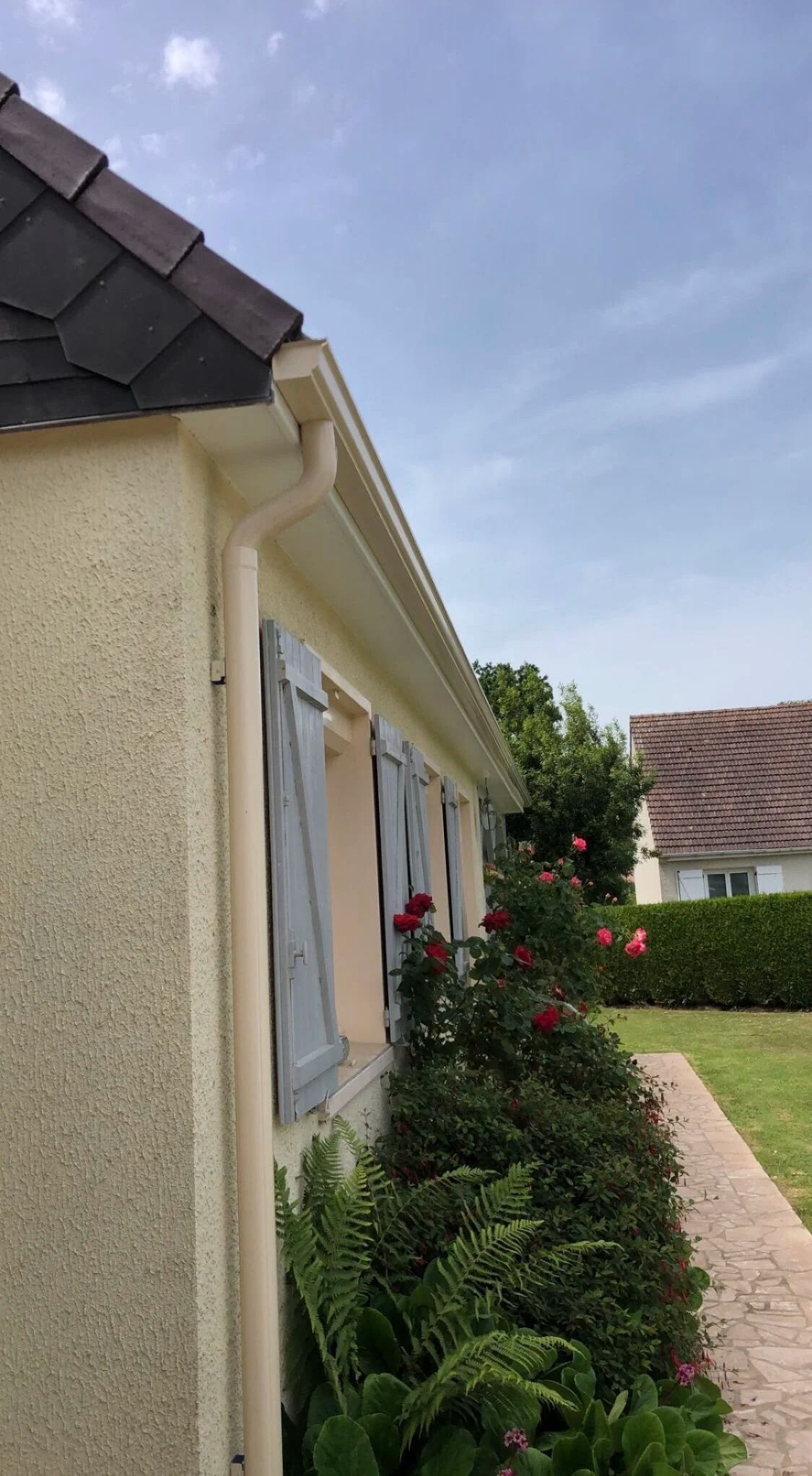 Côté d'une maison couleur crème avec des fenêtres, des rosiers et un chemin de pierre bordé d'une haie sous un ciel bleu.