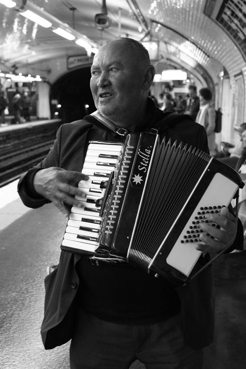 L'accordéoniste,2024