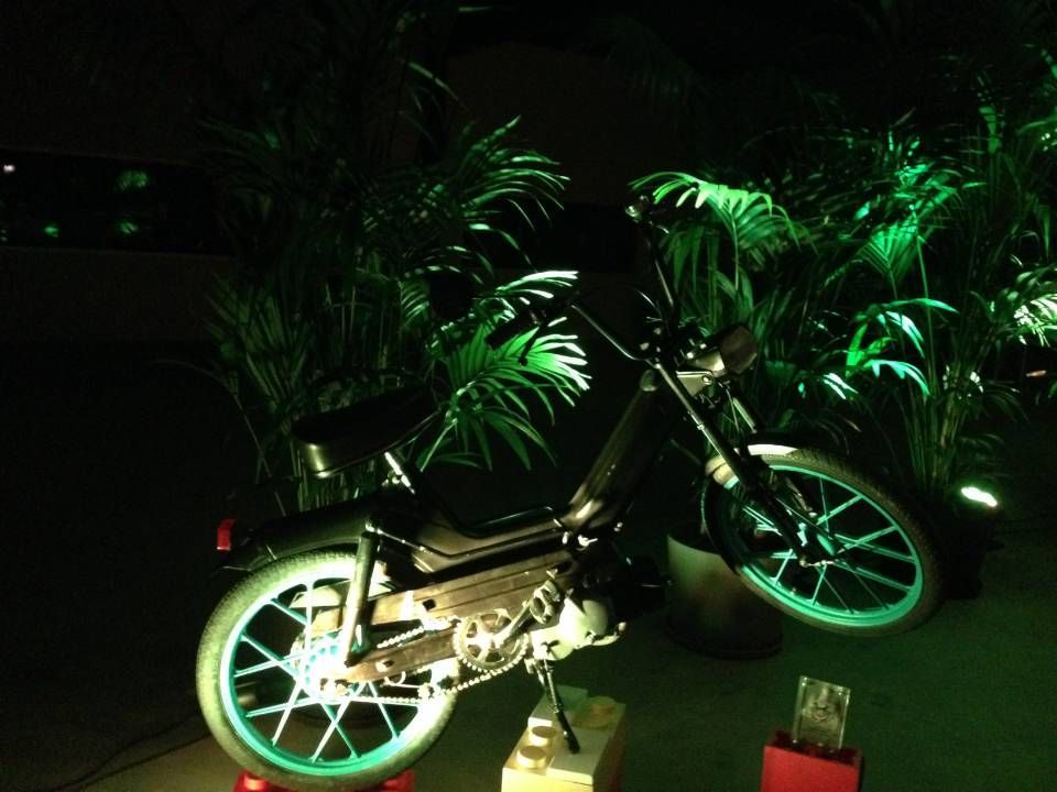 Un vélo argenté illuminé en vert la nuit, garé à côté d'une végétation tropicale luxuriante.