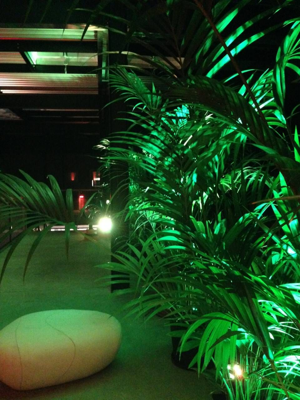 Des plantes d'intérieur éclairées par une lumière verte sont placées à côté d'un pouf beige dans un salon à l'ambiance tamisée.