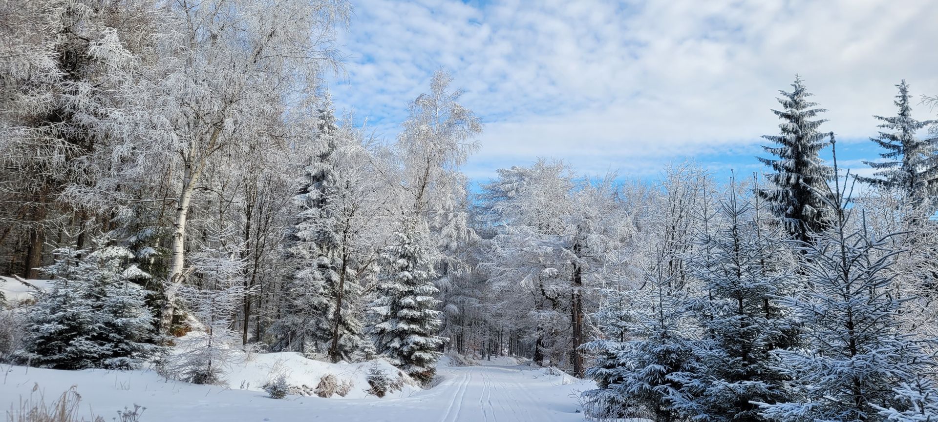 Geschäft von Sport Lohse