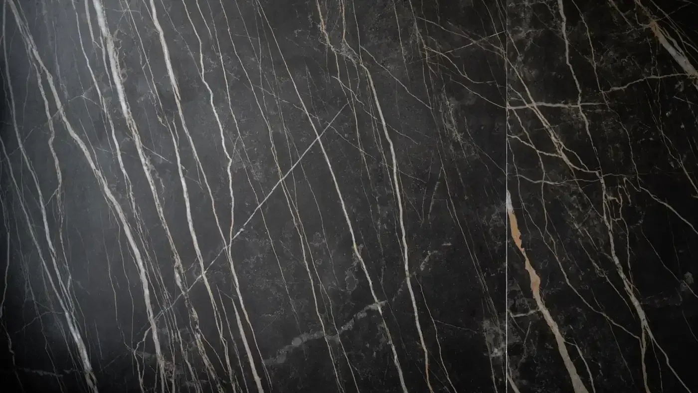 Superficie de mármol negro oscuro con finas vetas blancas y doradas.