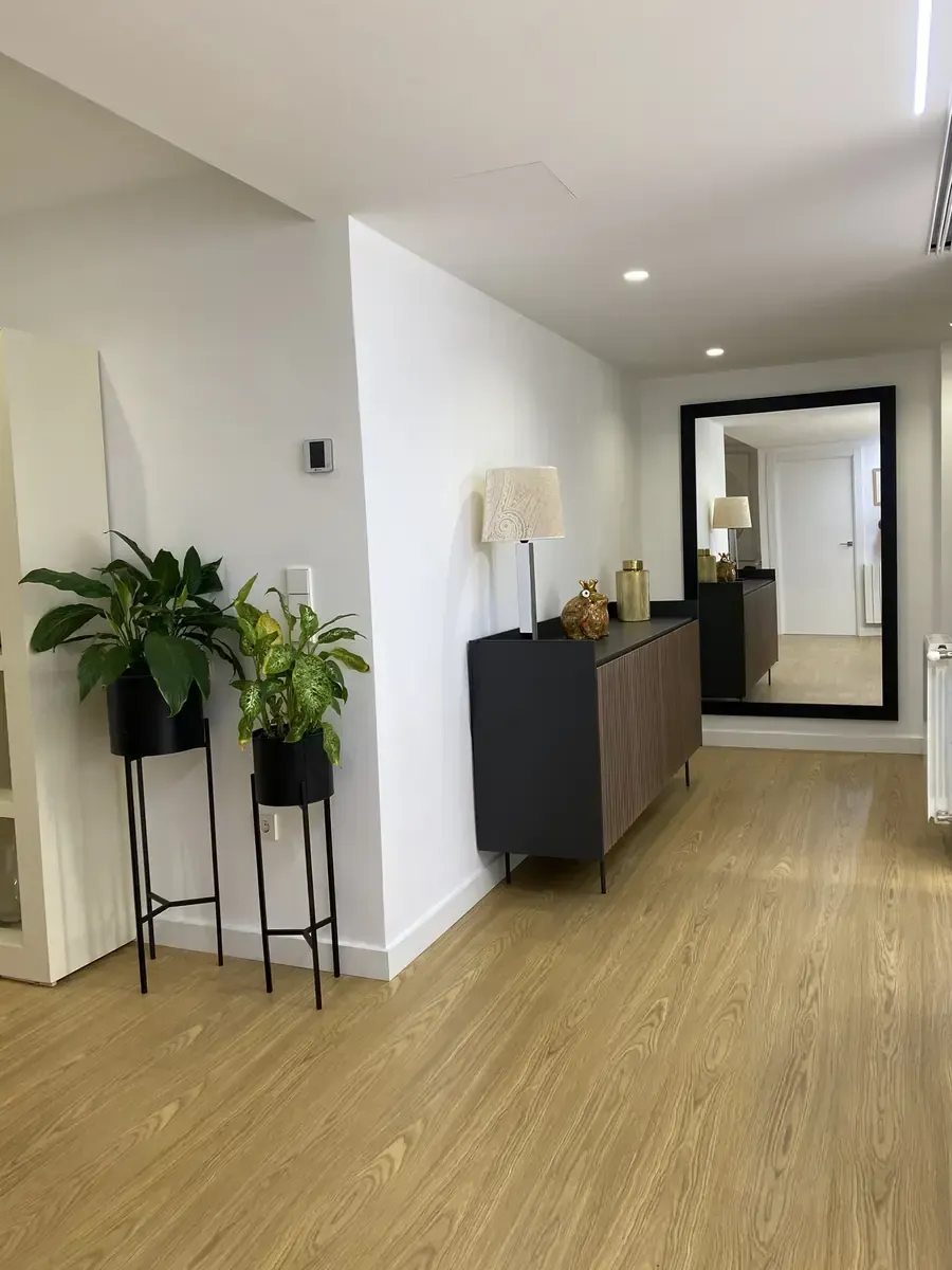 Pasillo moderno con suelos de madera, plantas en macetas, una mesa consola y un gran espejo de pared.