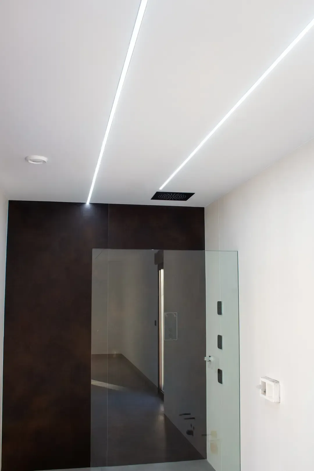 Pasillo moderno con paredes blancas, pared de acento oscura, puerta de cristal y luces empotradas en el techo.