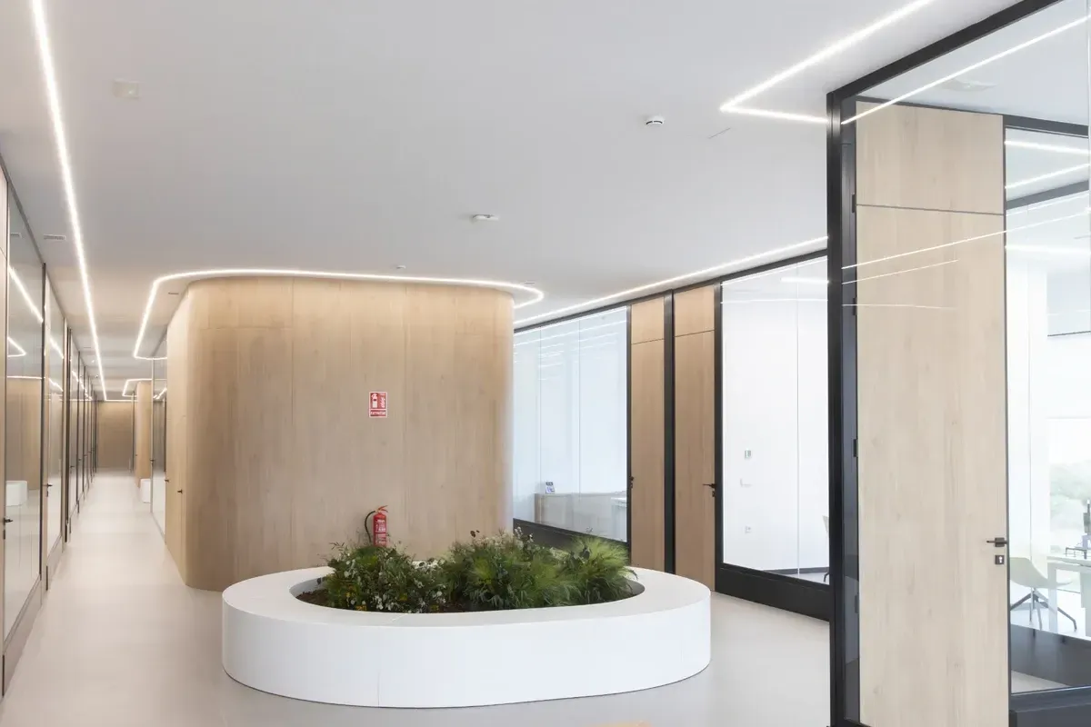 Pasillo de oficina moderno con pared curva de madera, macetero blanco y mamparas de vidrio.