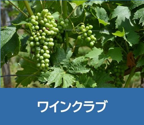 The Japan Club of Geneva