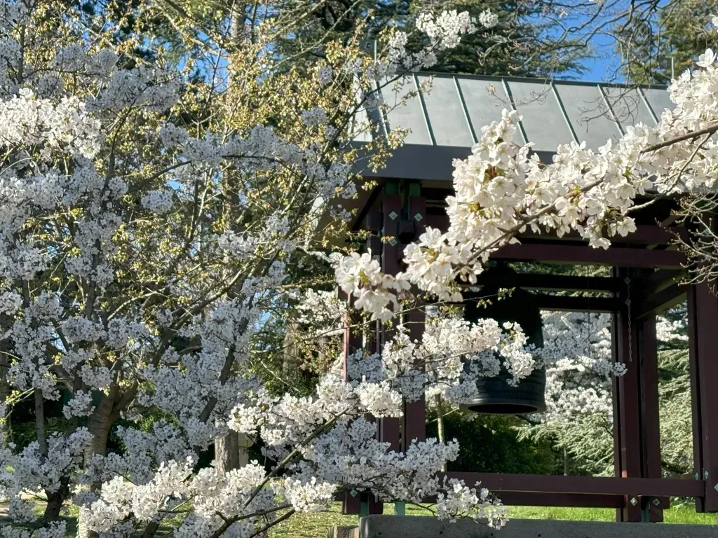 The Japan Club of Geneva