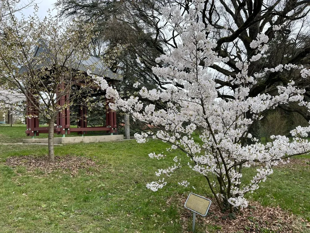 The Japan Club of Geneva