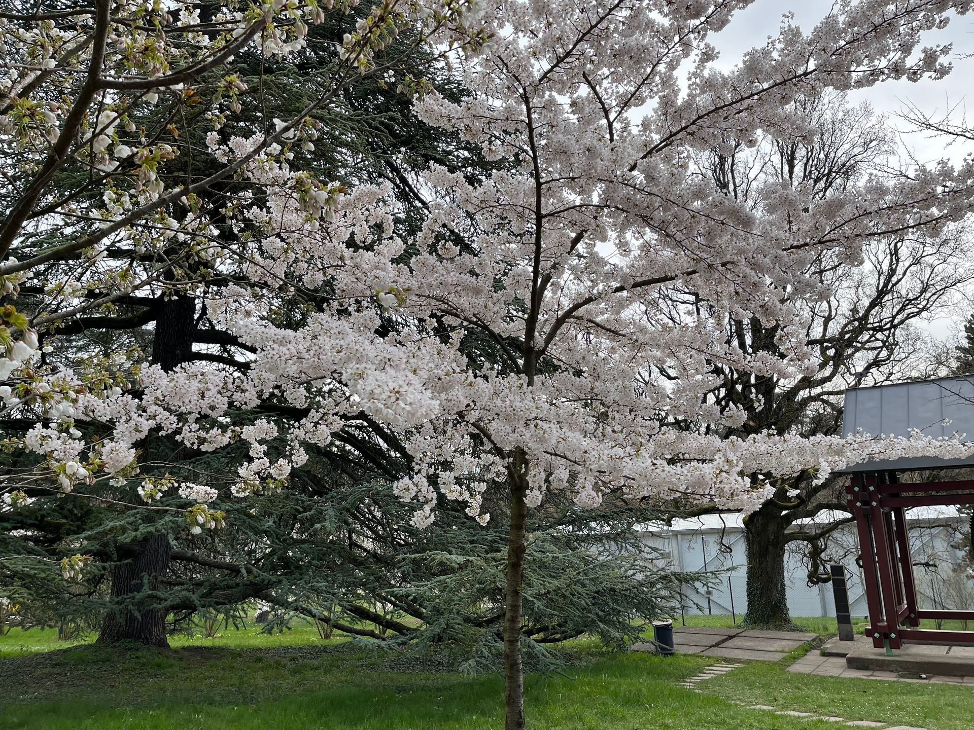 The Japan Club of Geneva