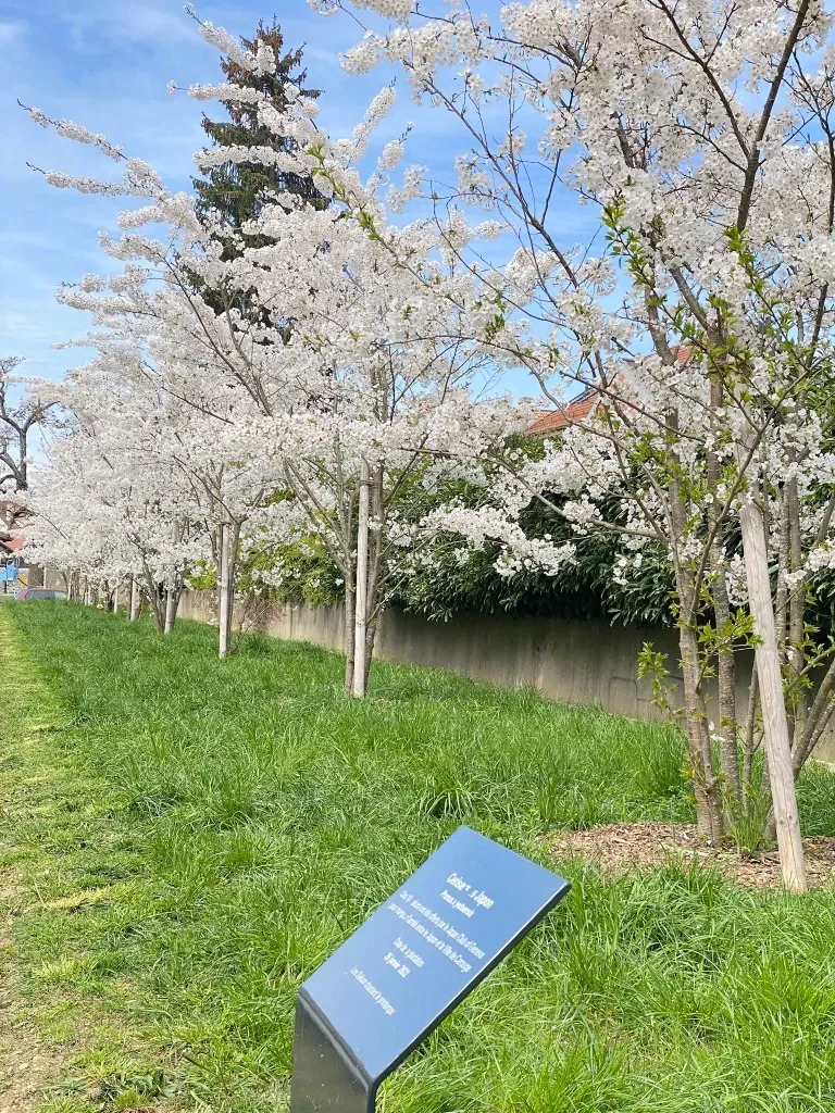 The Japan Club of Geneva
