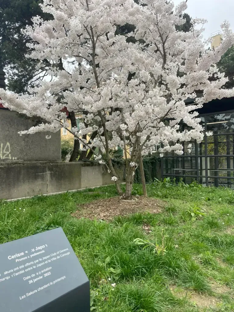 The Japan Club of Geneva