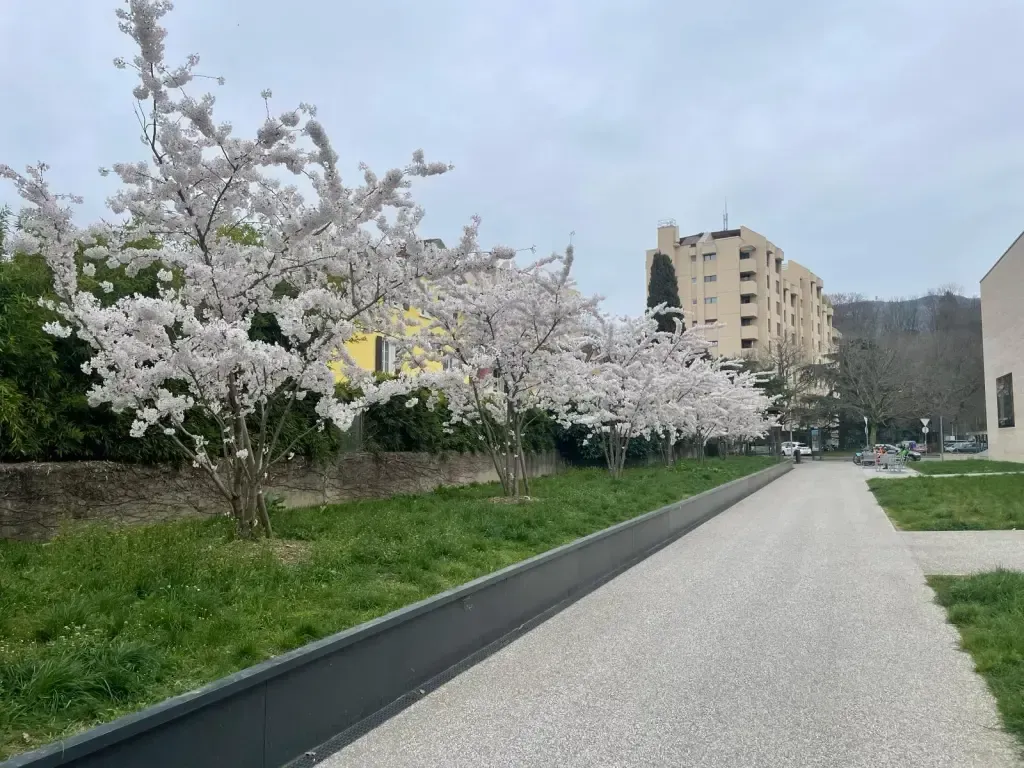 The Japan Club of Geneva