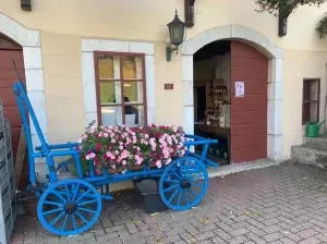 The Japan Club of Geneva