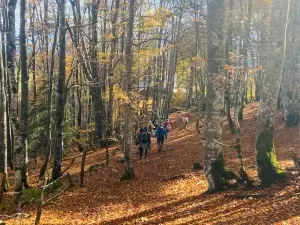 The Japan Club of Geneva