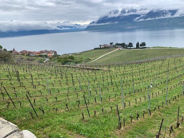 The Japan Club of Geneva