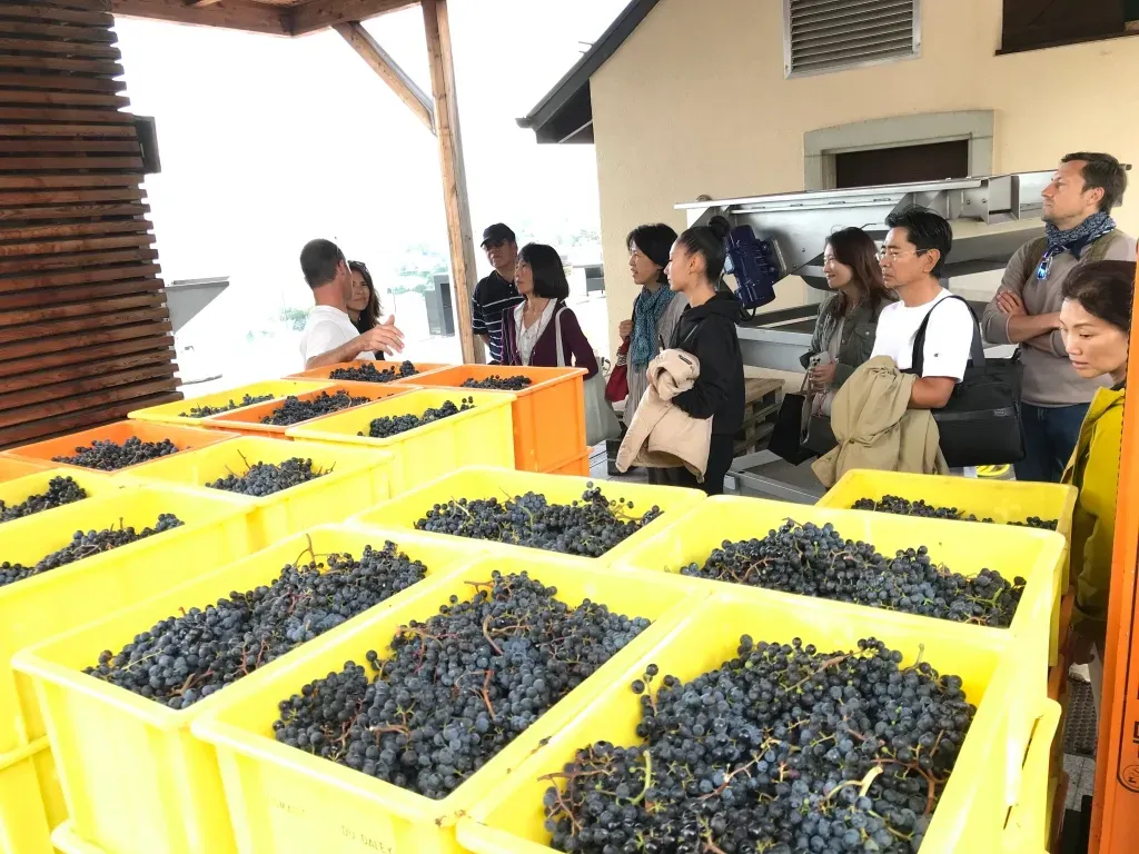 The Japan Club of Geneva