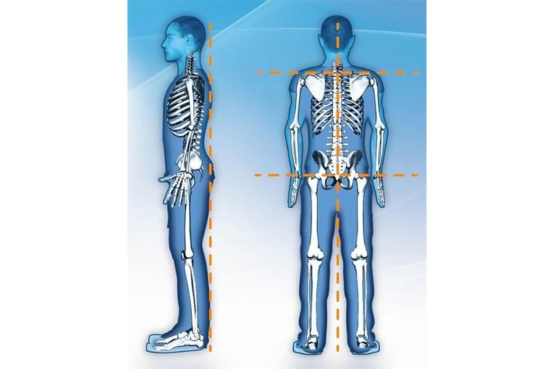 Auf blauem Hintergrund ist eine Zeichnung des Skeletts eines Mannes zu sehen