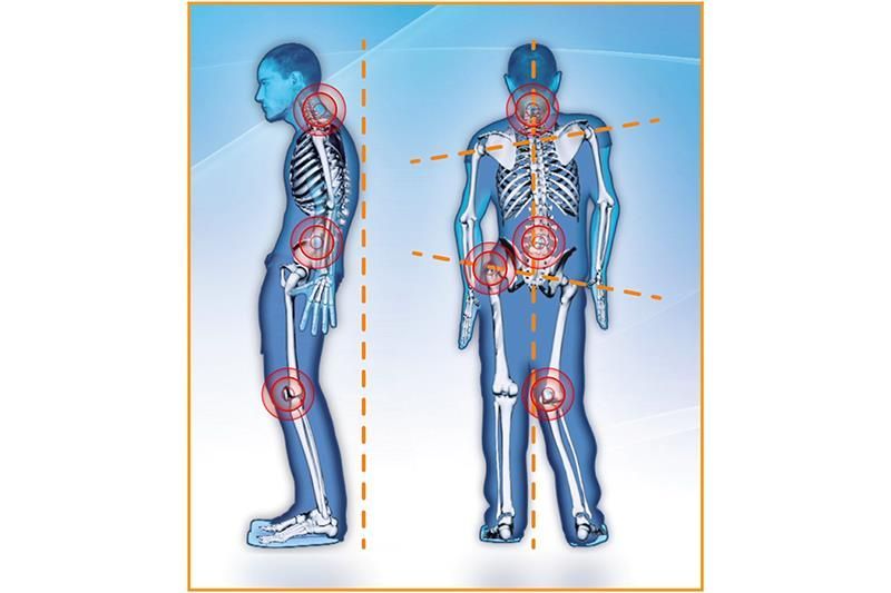 Ein Diagramm des Skeletts und der Gelenke eines Mannes
