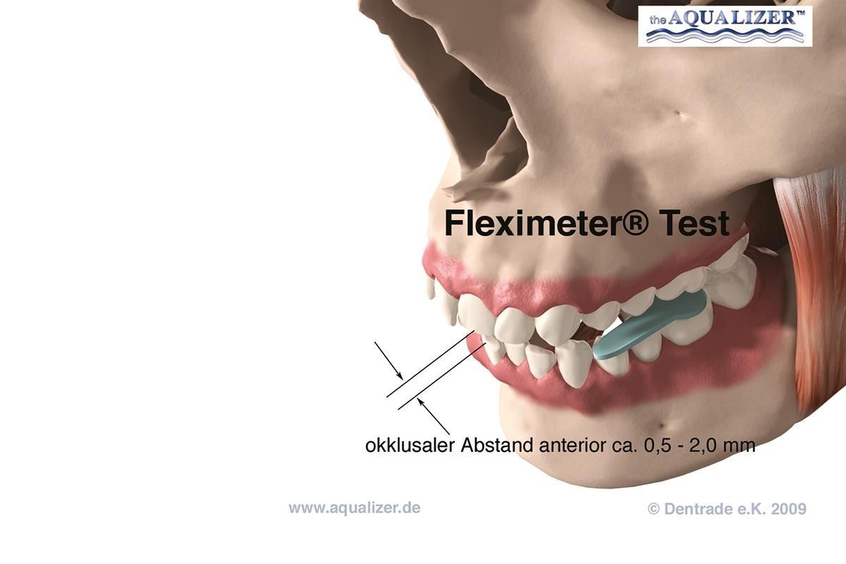 An einem Modell wird ein Flexmetertest durchgeführt
