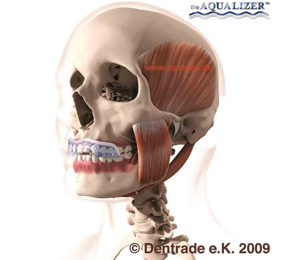 Volker Müller Orthopädie und Schuhtechnik - AQ Skull