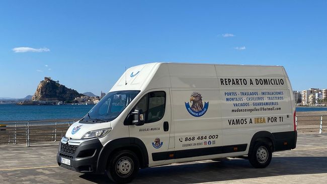 Furgoneta blanca de alquiler aparcada en una carretera costera con una isla rocosa y cielo azul al fondo.