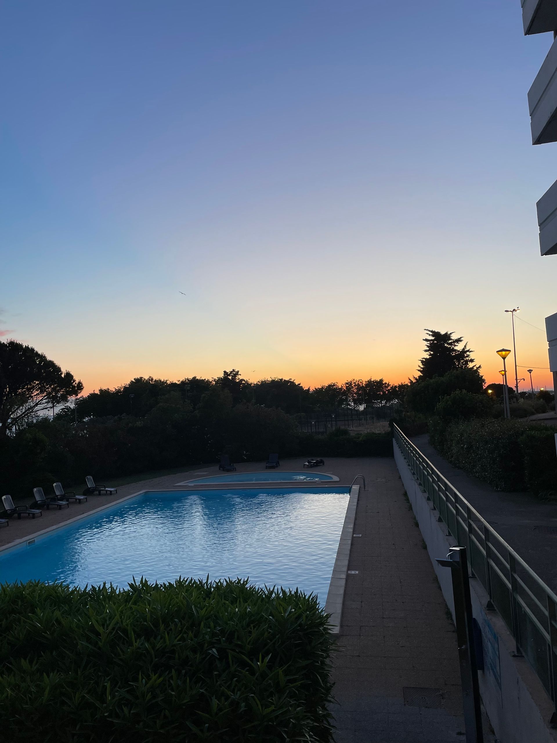 Photo de transats au bord de la piscine