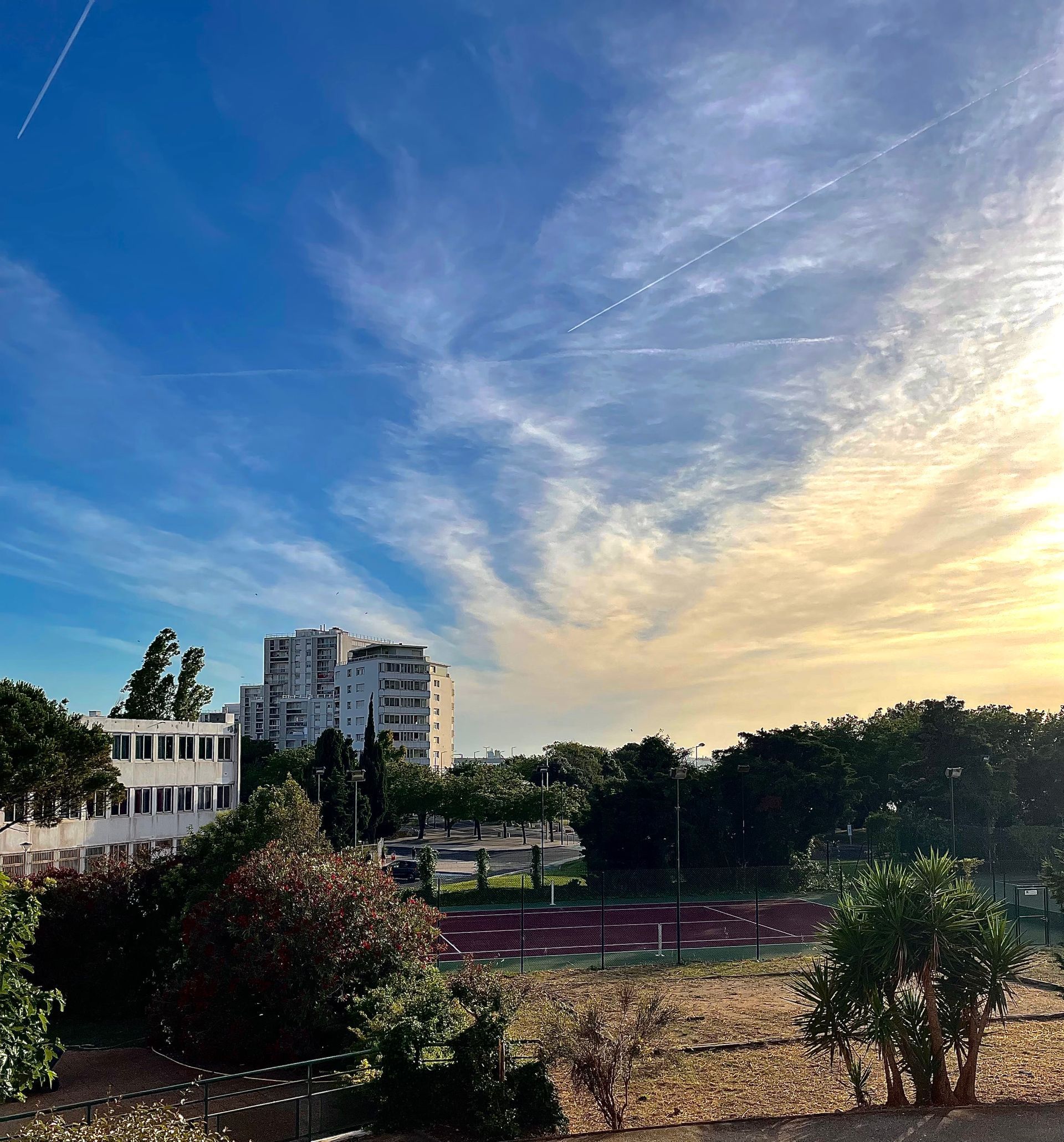 Photo d'une balle de tennis sur un terrain de tennis