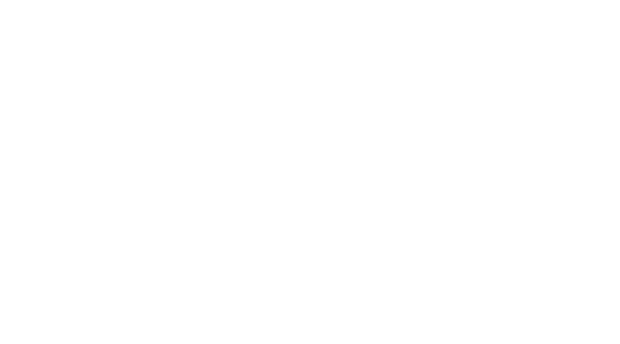 La marca Wahl professional