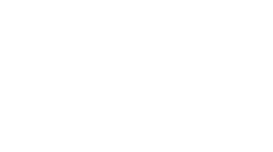 La marca Parlux