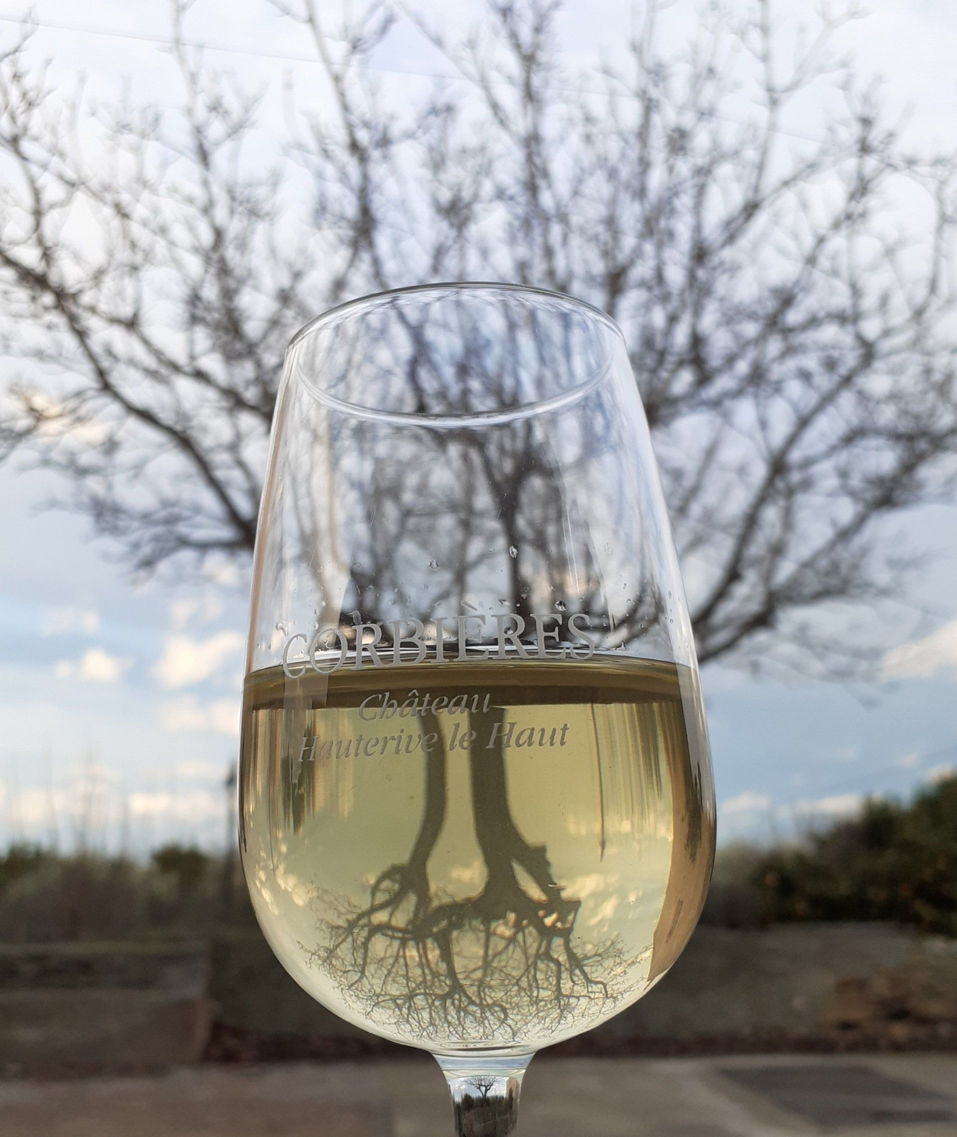 Verre de vin blanc