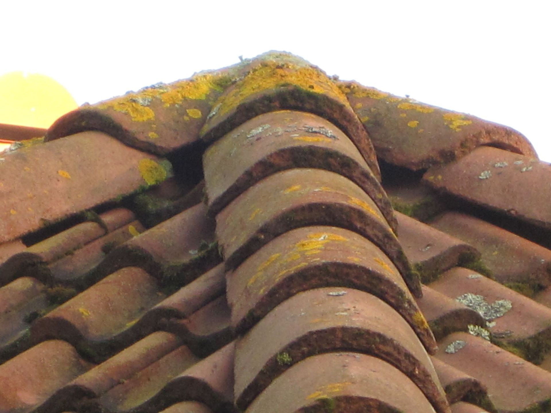 Kiinteistöpalvelut PJ-Huolto Oy