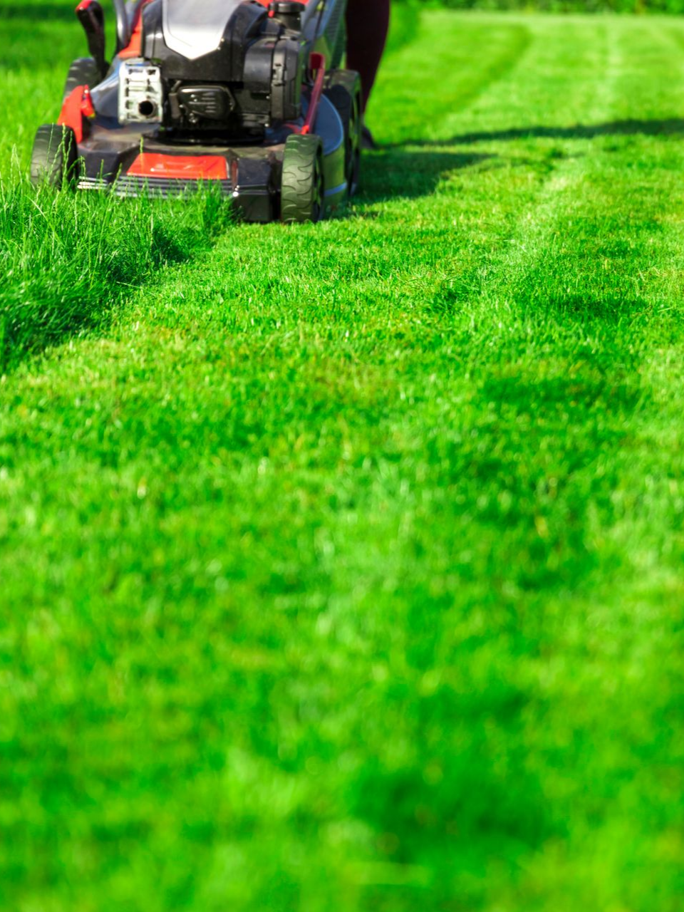 Une personne pousse une tondeuse à gazon rouge et noire.