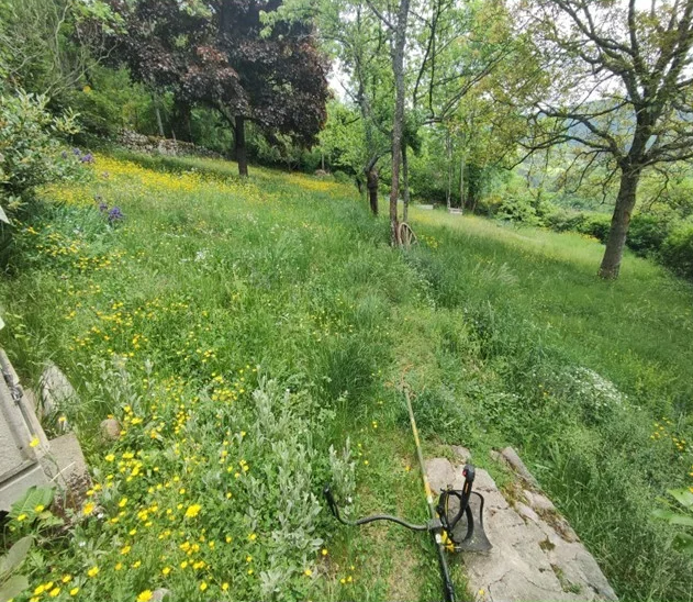 Un coupe-bordures est posé dans une prairie herbeuse en pente, parsemée de fleurs sauvages jaunes.