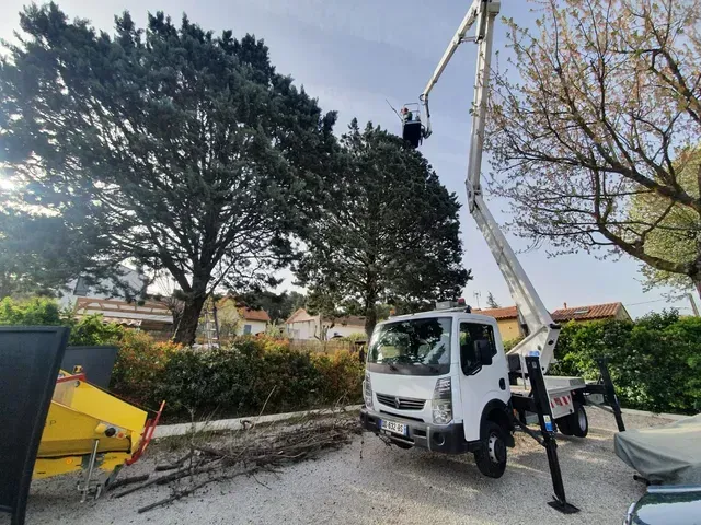 Un camion-nacelle blanc est stationné sur du gravier devant des arbres, effectuant des travaux d'entretien.