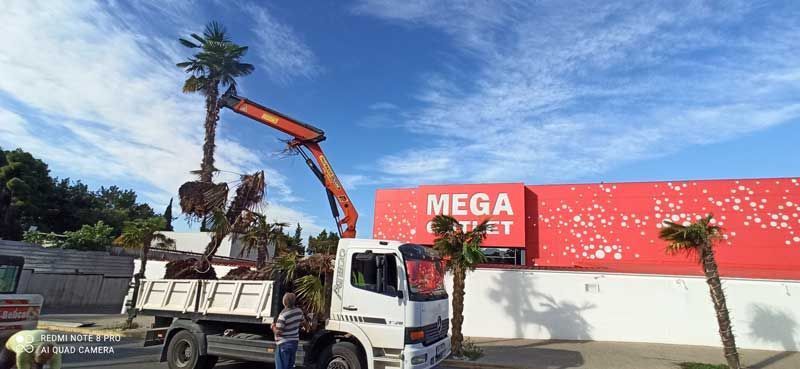 Χωματoυργικές εργασίες Βαρσαμούδης Στέλιος