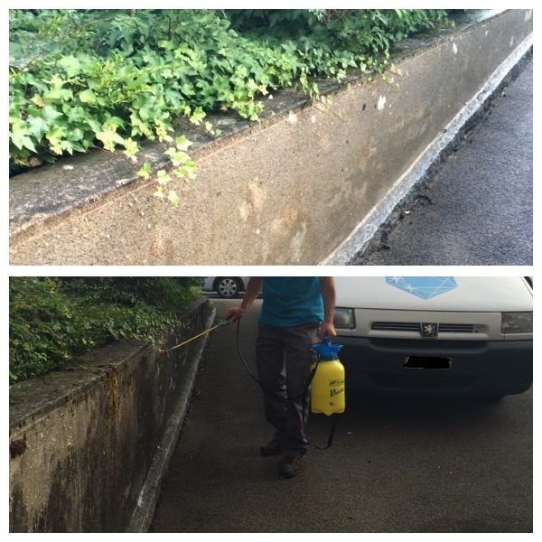 Vorher-Nachher-Bild einer gereinigten Betonmauer